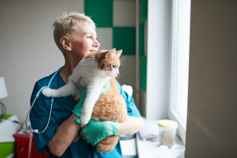 Happy Vet Doctor With Cat 768x512