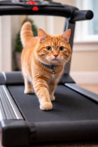 chatgpt image jan 9, 2026, 08 20 41 pm